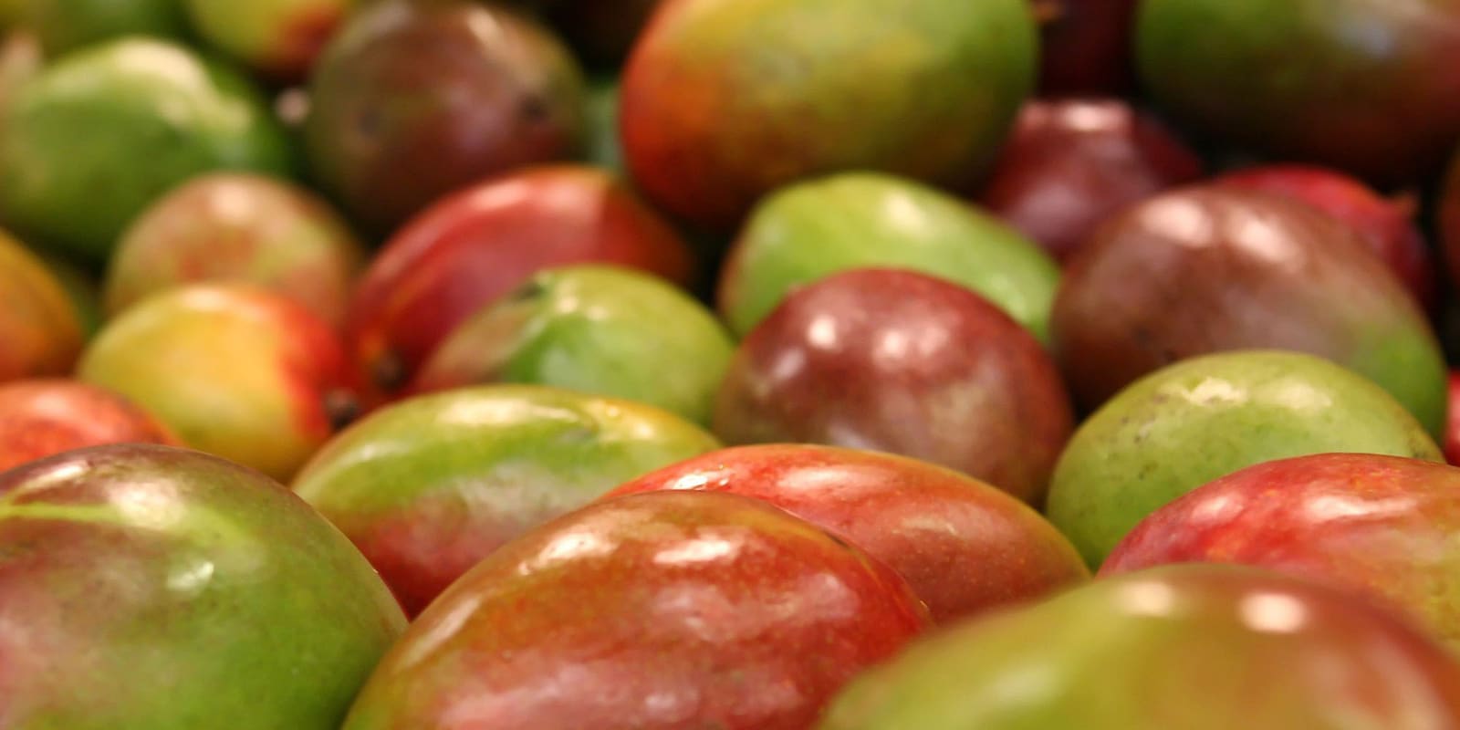 Fresh mango macro